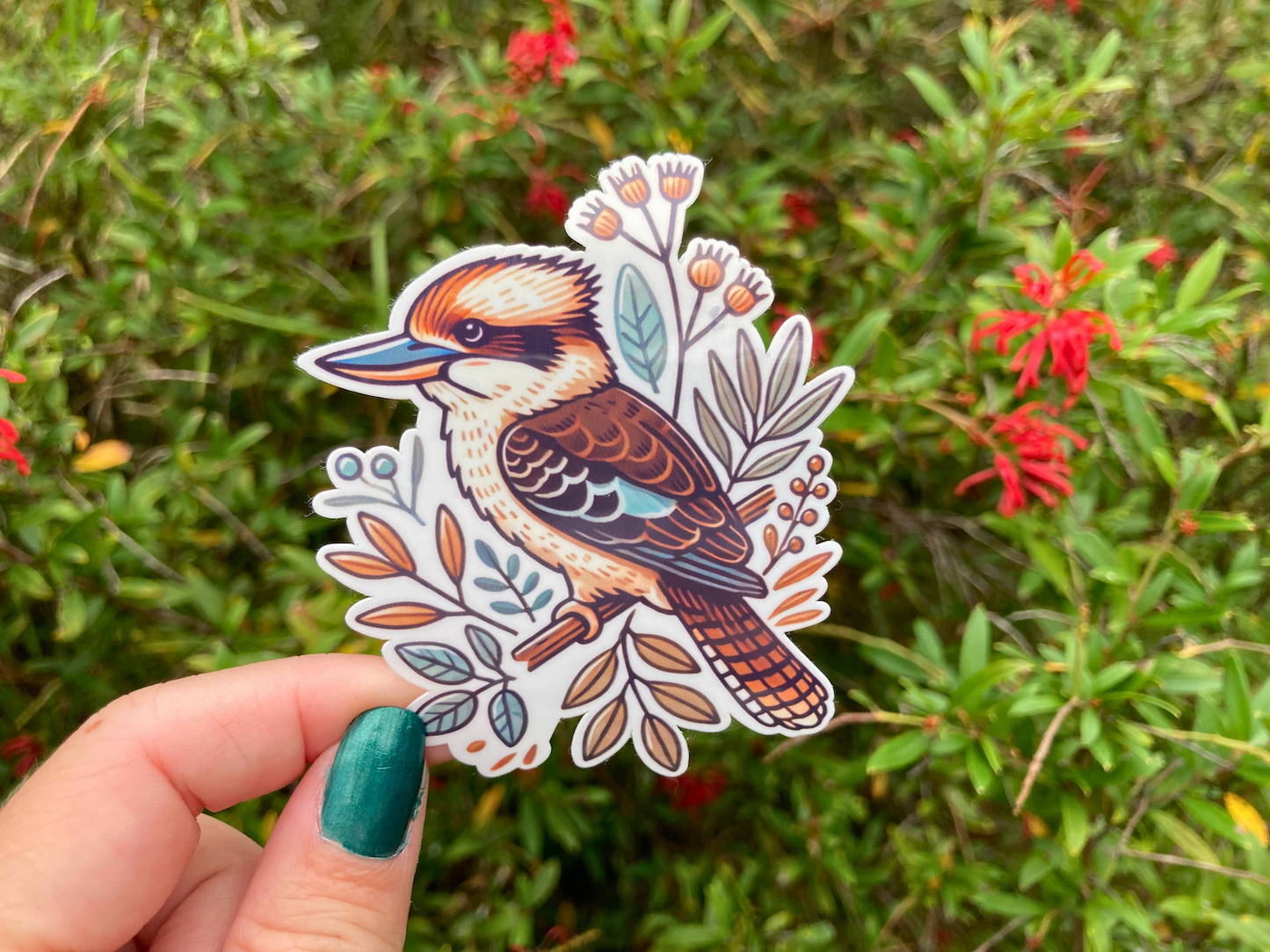 Kookaburra sticker, Australian bird sticker, cute bird sticker, vinyl sticker, native bird sticker, nature sticker, wildlife sticker