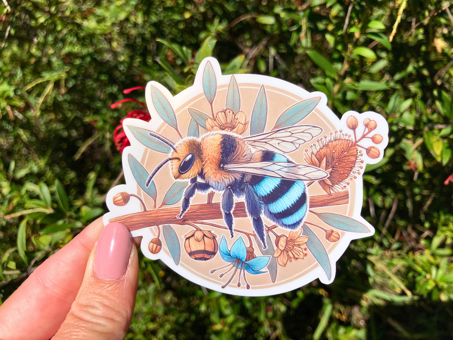 Blue Banded Bee Sticker, Bee Sticker, Native Australian Bee Sticker, Insect Sticker, Vinyl Sticker, Gardening Sticker, Australian Souvenir