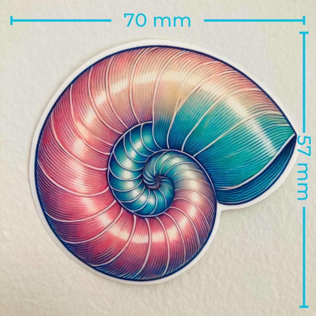 A colorful nautilus shell sticker in pink, blue, and purple hues is displayed against a white background. Blue text measurements show the width as 70 mm and the height as 57 mm, emphasizing the sticker's size.
