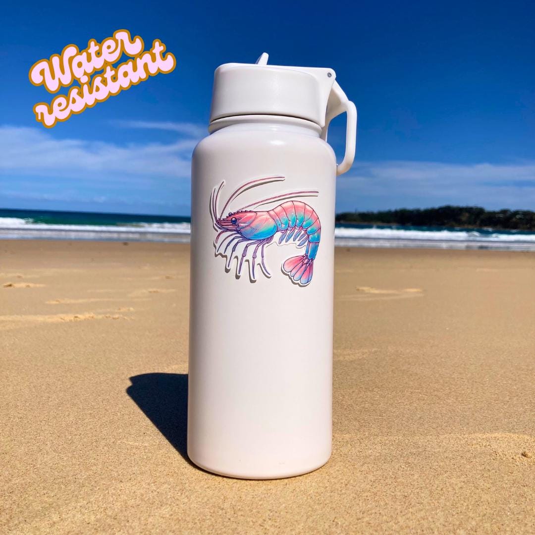A white water bottle with a colorful shrimp sticker in pink, blue, and purple hues is placed on a sandy beach. The background shows the ocean and a clear sky. The words Water resistant are in the top left corner, highlighting the sticker's durability