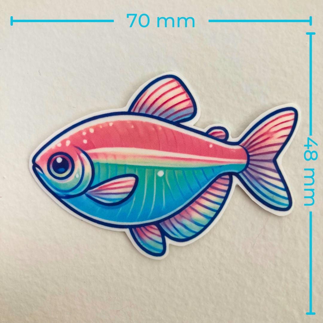 A colorful sticker of a tetra fish measuring 70mm by 48mm. The fish has vibrant pink, teal, and blue shades with a stripe running across its body. Its large eye and detailed fins add a playful and lively touch to the design.
