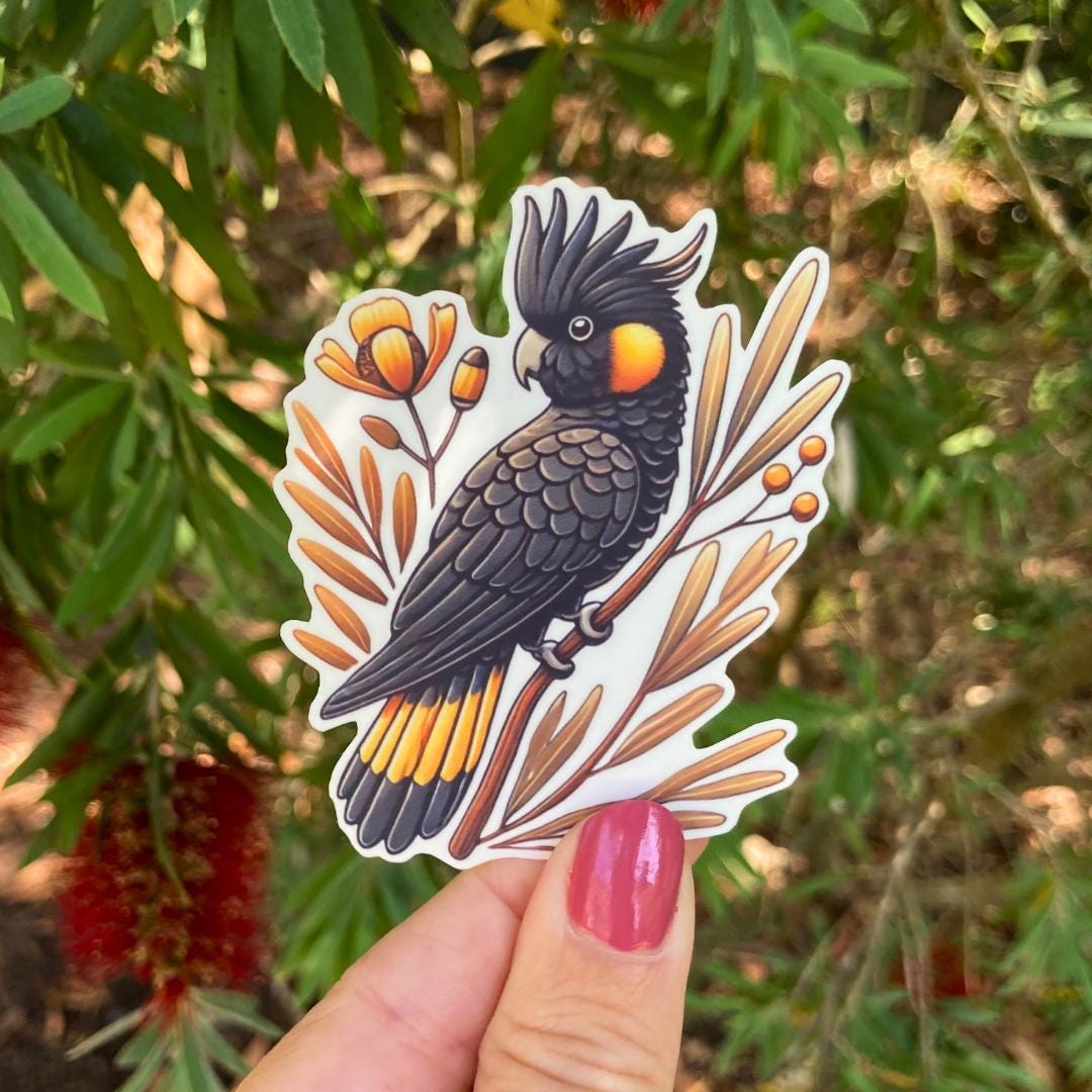 A hand holds a sticker of a black cockatoo perched on a branch with orange flowers and leaves. The cockatoo has bright orange cheek patches and yellow tail feathers. In the background, green leaves and red bottlebrush flowers are visible