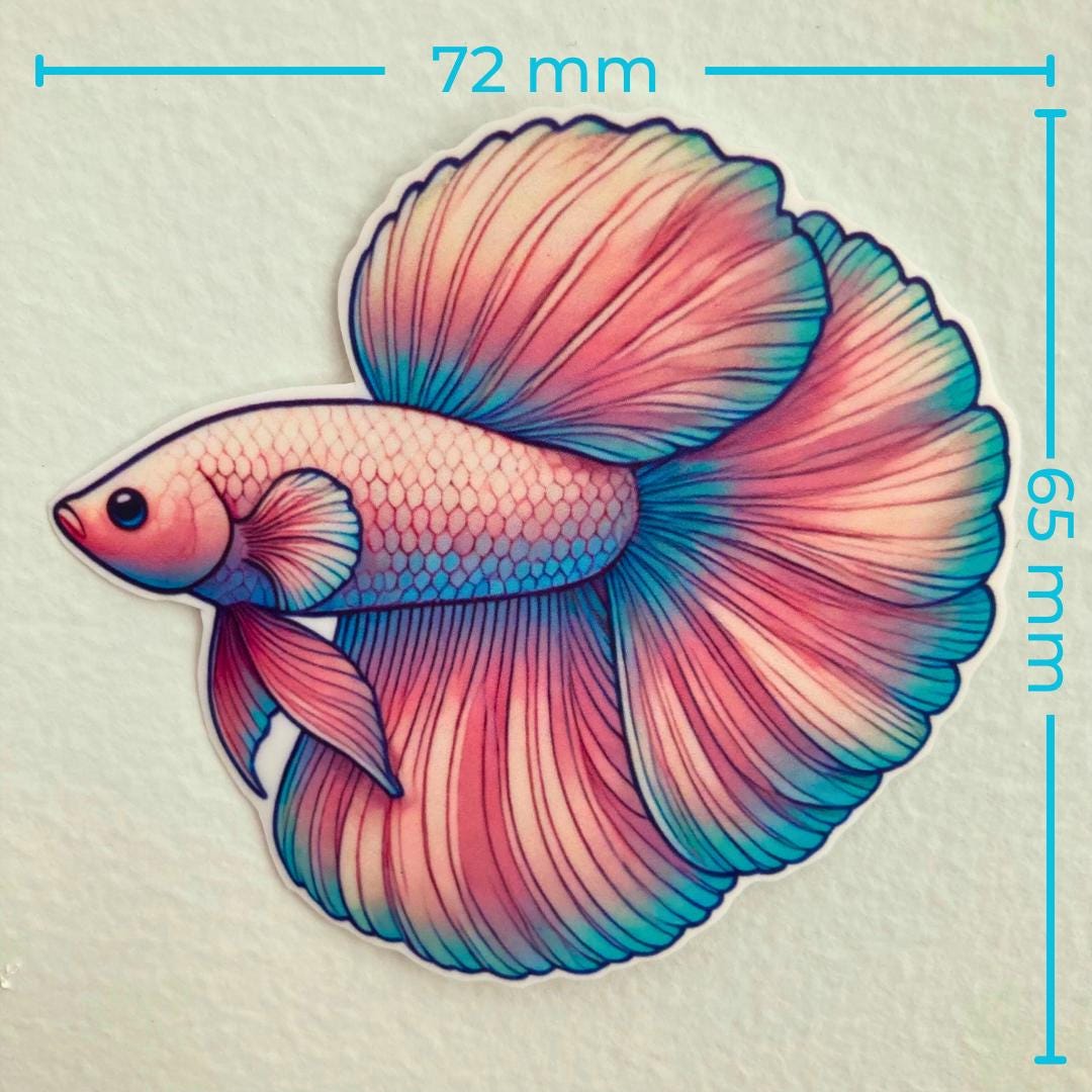 A sticker of a colorful betta fish with flowing pink and blue fins is displayed against a white background. Blue text measurements show the width as 72 mm and the height as 65 mm, emphasizing the sticker's size.