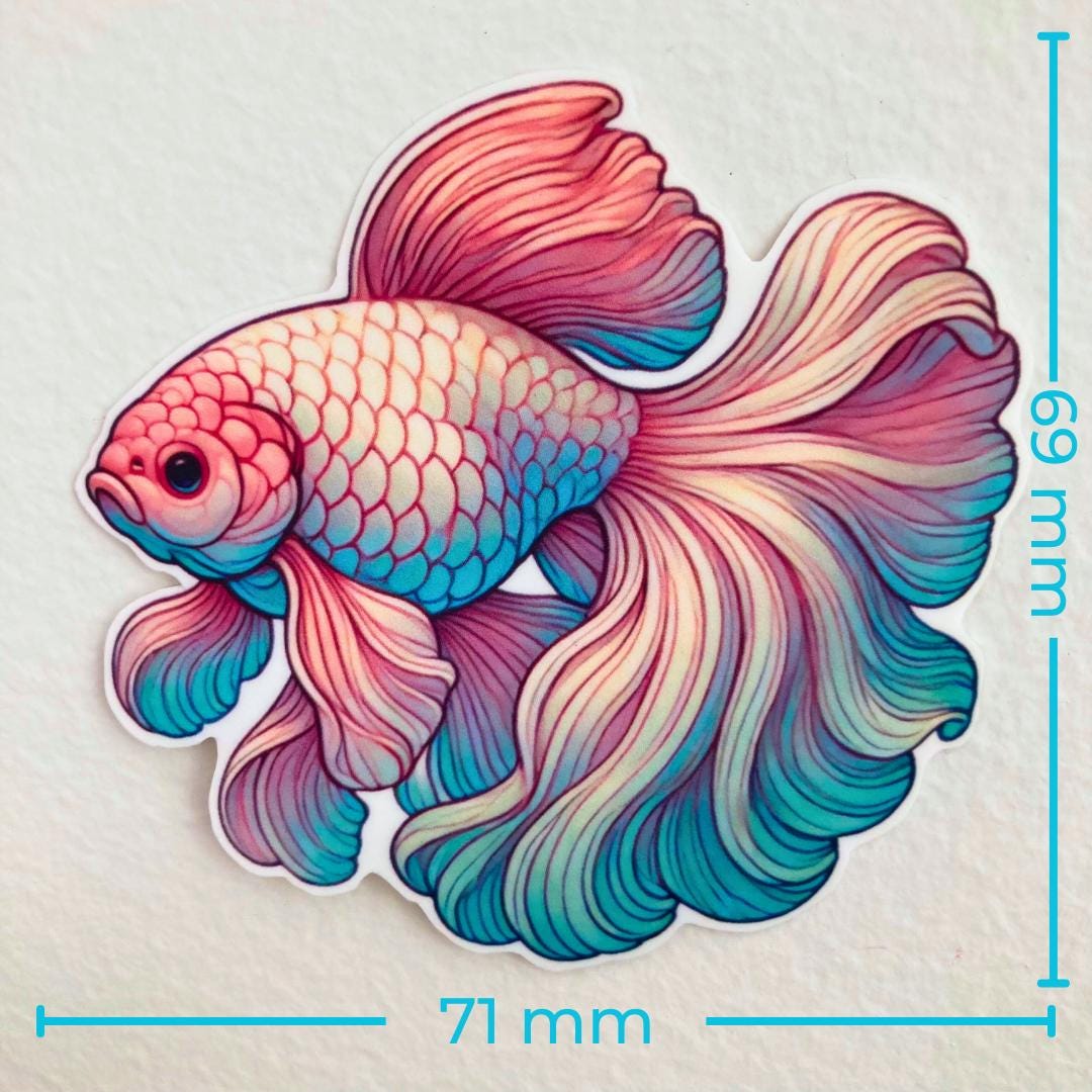 A colorful betta fish sticker with flowing pink, blue, and green fins is displayed against a white background. Blue text measurements show the width as 71 mm and the height as 69 mm, emphasizing the sticker's size.