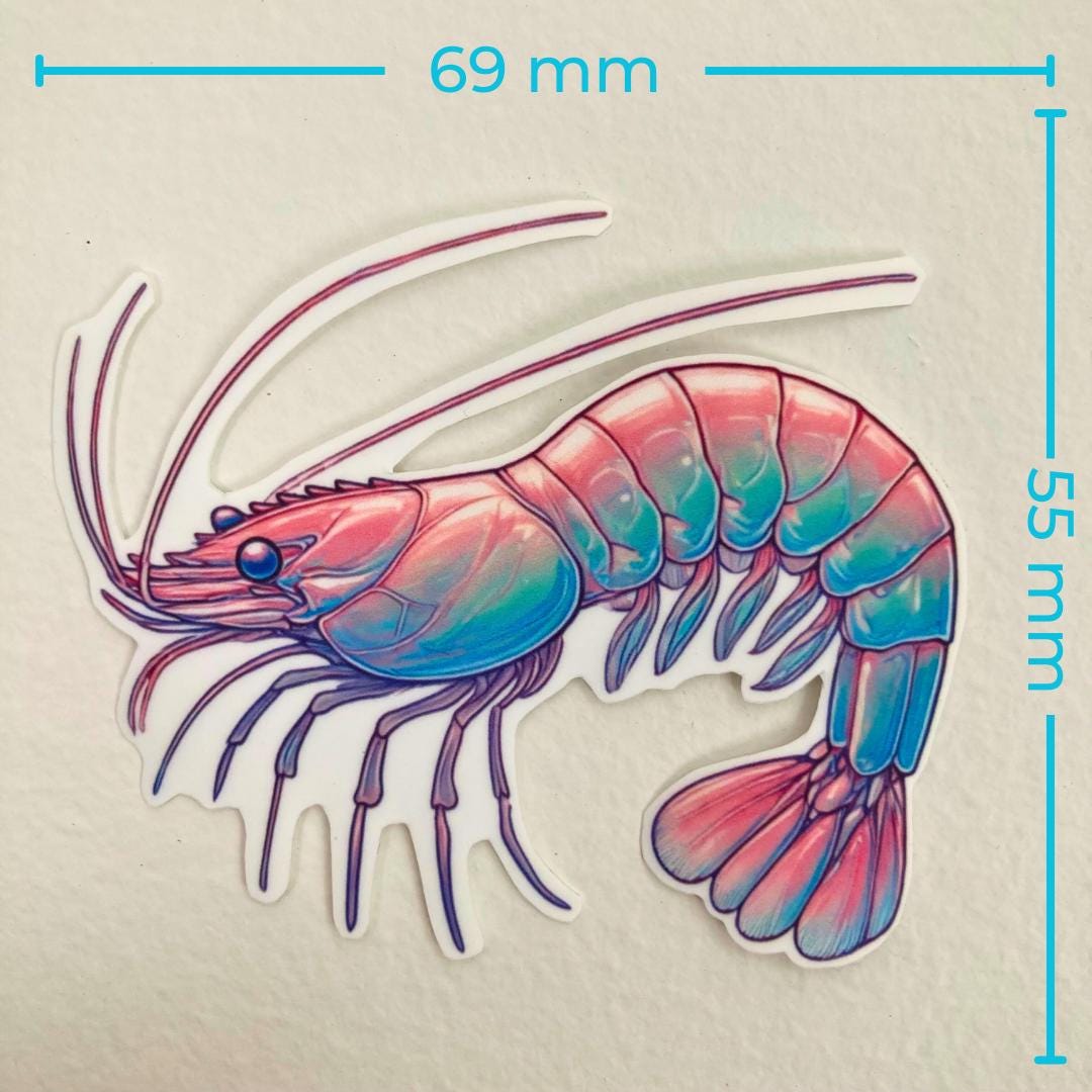 A colorful shrimp sticker in pink, blue, and purple hues is displayed against a white background. Blue text measurements show the width as 69 mm and the height as 55 mm, emphasizing the sticker's size.