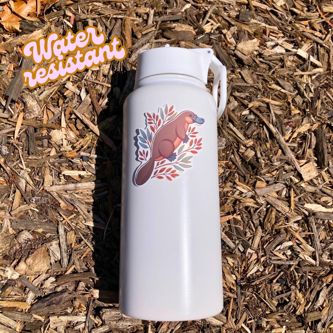 A white water bottle with a platypus sticker lies on a bed of wood chips in bright sunlight. The sticker shows a cartoon platypus with leaves. A "Water resistant" label in orange script is in the top left corner.