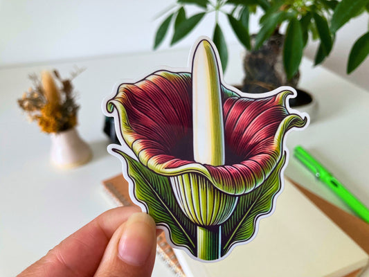 Inspired by a Botanical Marvel: The Story Behind My Corpse Flower Sticker