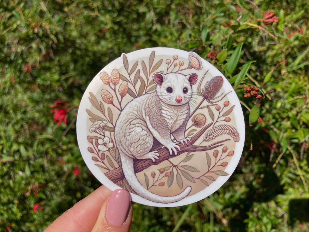 A hand with pink nails holds a round Australian possum sticker against a lush green garden backdrop with red flowers. The sticker features a fluffy possum perched on a branch, surrounded by native botanicals in warm earthy tones. Sunlight highlights the intricate details and soft colors. The waterproof and scratch-resistant vinyl sticker is perfect for decorating water bottles, laptops, and journals with a touch of Australian wildlife charm.
