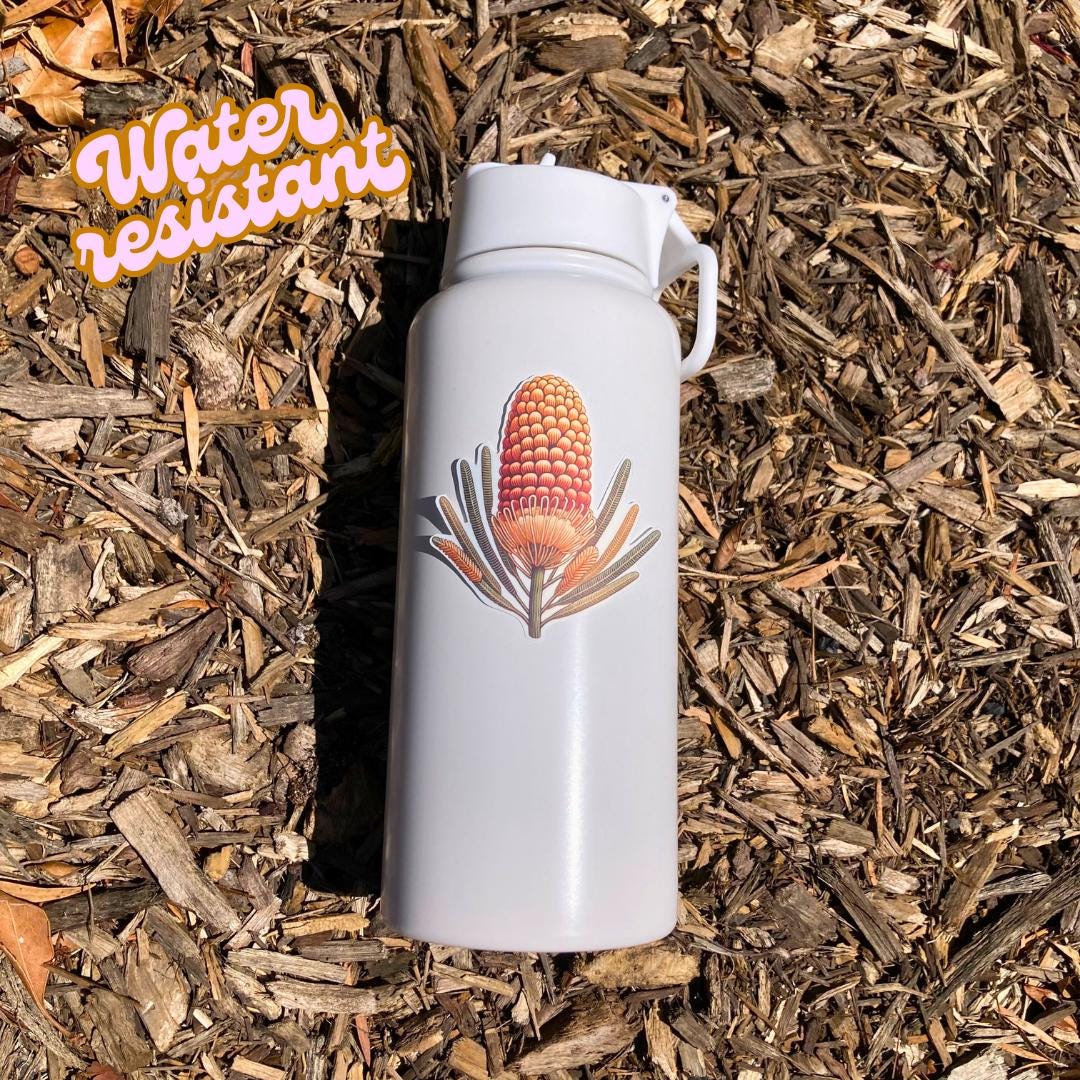 A white water bottle with a sticker of an orange and yellow banksia flower lies on wood chips in bright sunlight. The cone-shaped flower has long, slender leaves. An orange &quot;Water resistant&quot; label is in the top left corner