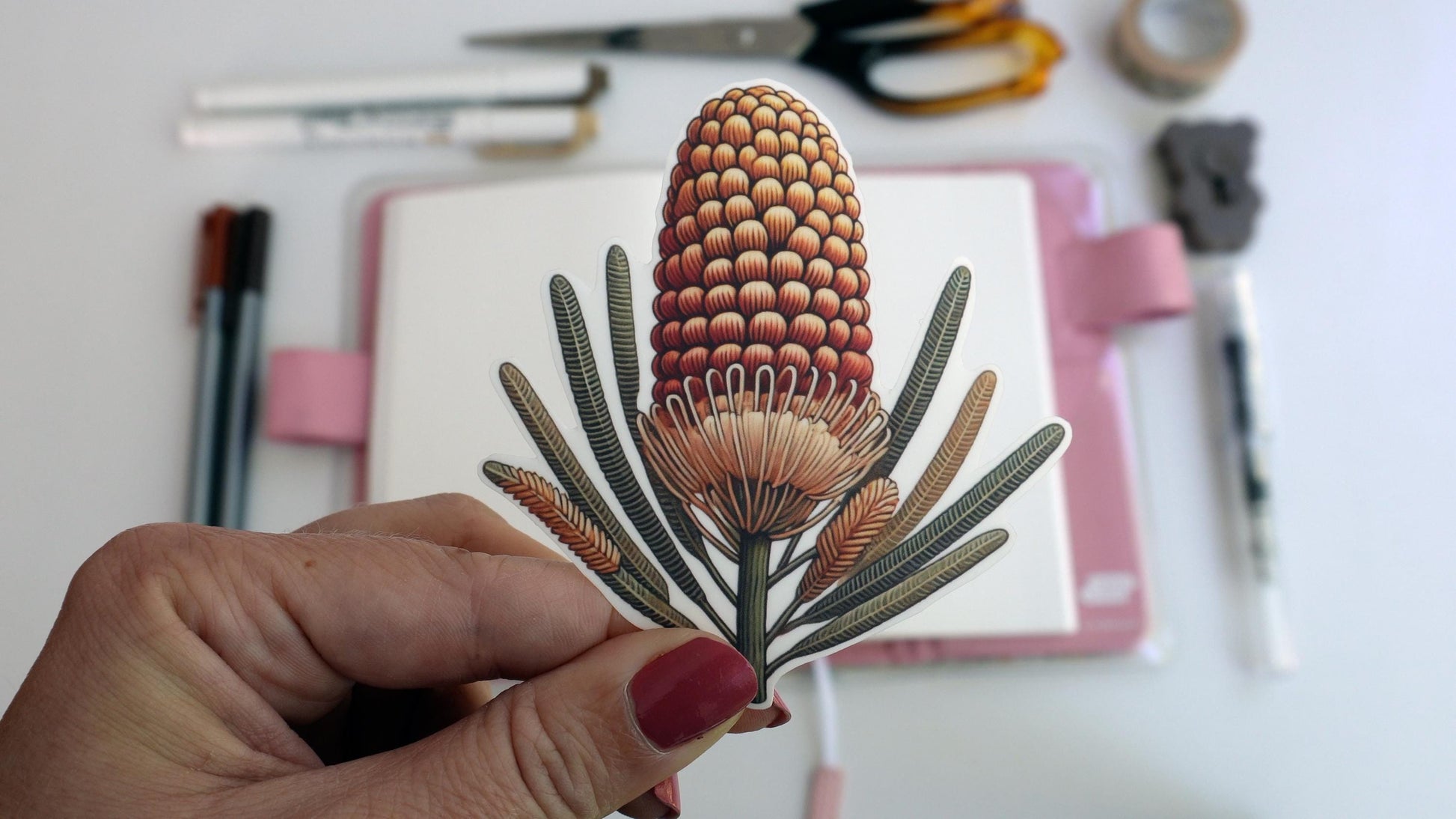 A hand with pink nail polish holds a sticker of an orange and yellow banksia flower with slender leaves. In the background, an open notebook with a pink cover sits on a white surface, along with scattered pens, scissors, and a roll of tape.