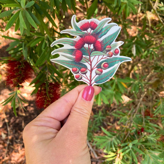 A hand with pink nail polish holds a sticker of a eucalyptus branch with red blossoms and round buds. The background shows a green plant with red bottlebrush flowers, blending naturally with the colors of the sticker&#39;s design.