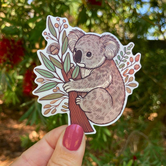 A hand holds a sticker of a koala hugging a tree trunk surrounded by eucalyptus leaves and branches. The koala has soft brown fur with detailed shading. In the background, blurred green leaves and red bottlebrush flowers are visible