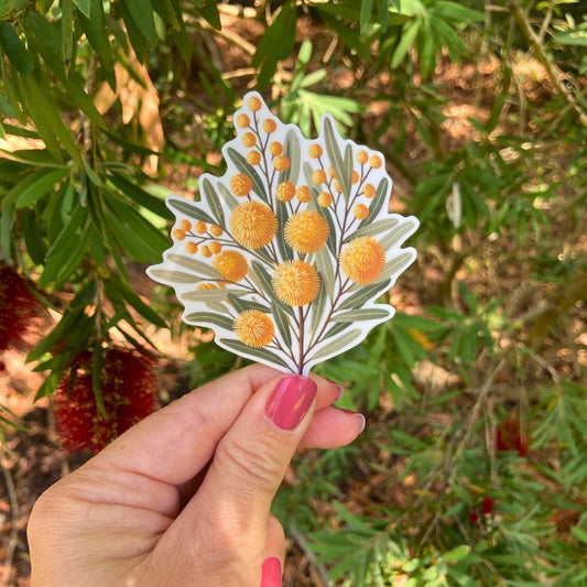 A hand holds a sticker of yellow wattle flowers. The design shows round fluffy blossoms in clusters on branches with green leaves. Background features blurred greenery and red flowers, creating a natural outdoor setting. Fingers have pink nail polish