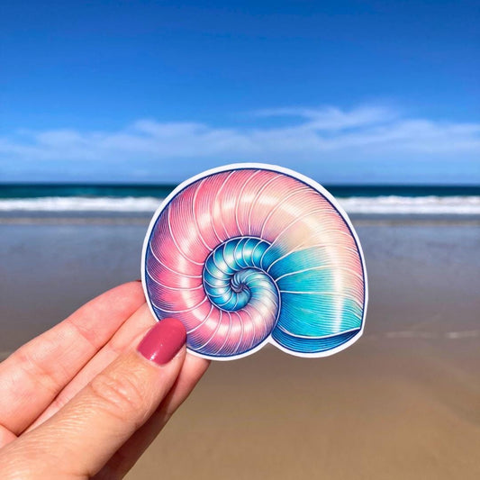 A hand with pink nails holds a colorful nautilus shell sticker with shades of pink, blue, and purple. The background shows a sandy beach with the ocean and a clear blue sky, highlighting the intricate shell design against the coastal scene.
