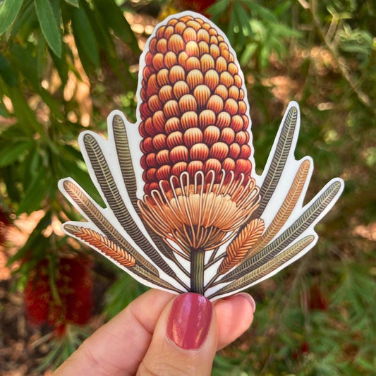 A hand holds a sticker of an orange and yellow banksia flower with long, slender leaves. The cone-shaped flower has detailed textures. In the background, green leaves and red bottlebrush flowers blend with the natural theme of the sticker