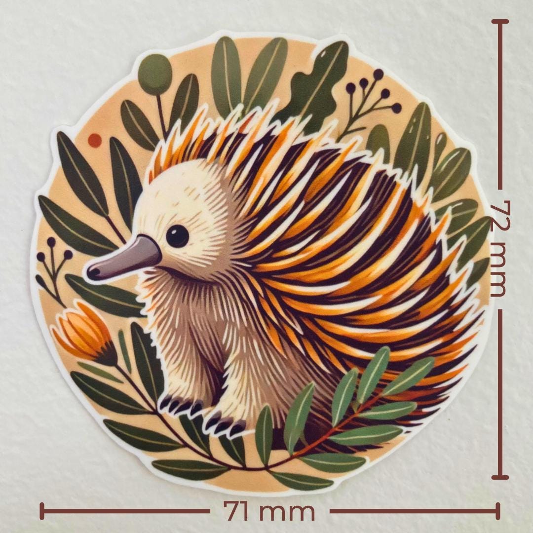 A circular sticker of an echidna with brown, orange, and white spines, surrounded by green leaves and a small orange flower. The echidna&#39;s long snout and tiny black eye are prominent. Dimensions shown are 71 mm wide and 72 mm tall.