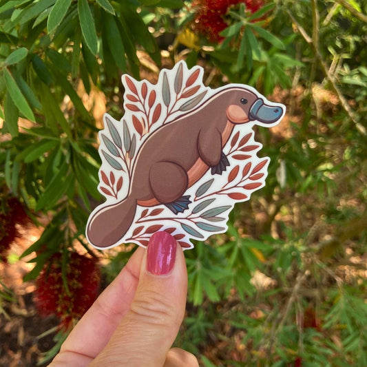 A hand with pink nail polish holds a sticker of a cartoon platypus surrounded by stylized leaves. In the background, a green plant with narrow leaves and clusters of red bottlebrush flowers is visible.