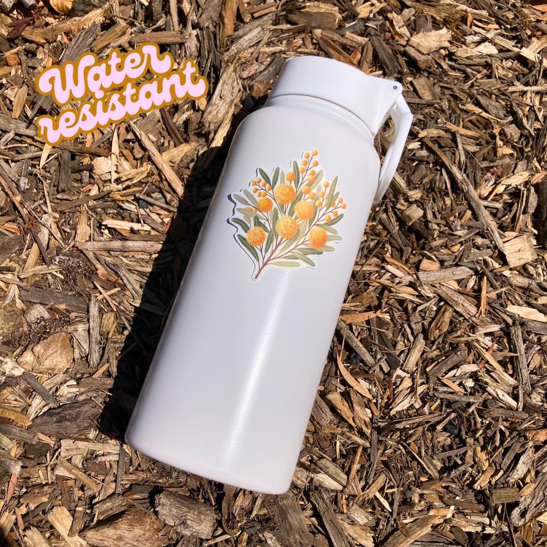 A white water bottle with a sticker of yellow wattle flowers is placed on a bed of wood chips The sticker design features clusters of round fluffy blossoms with green leaves. A &quot;Water resistant&quot; label appears in the top left corner in orange and pink