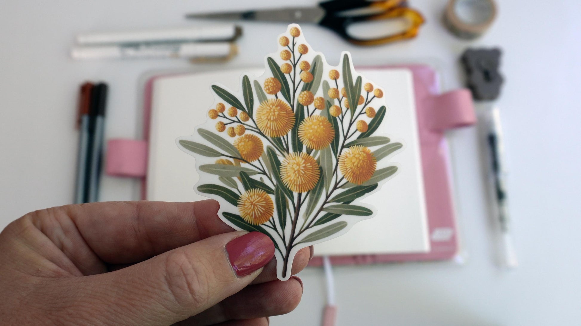 A hand holding a sticker of golden wattle flowers with fluffy yellow blooms and clusters of smaller yellow spheres. The design features elongated green leaves and branches, set against a background with office supplies like scissors and pens.
