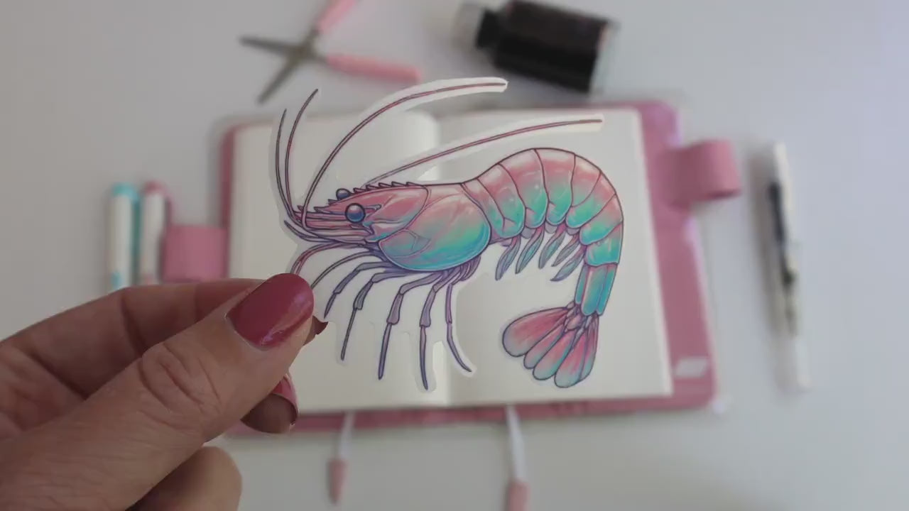 Pastel Cherry Shrimp Sticker – Cute Aquarium-Themed Décor, Colorful Marine Life for Laptops & Water Bottles
