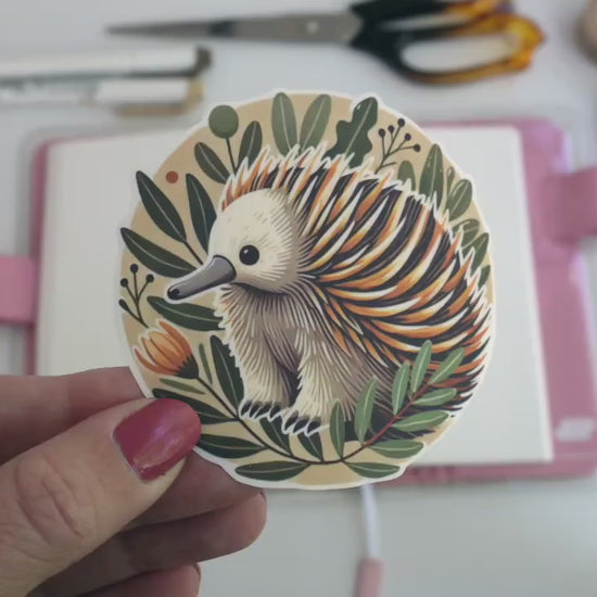 Cute Echidna Sticker – Australian Native Fauna, Cozy Wildlife Décor for Laptops & Journals