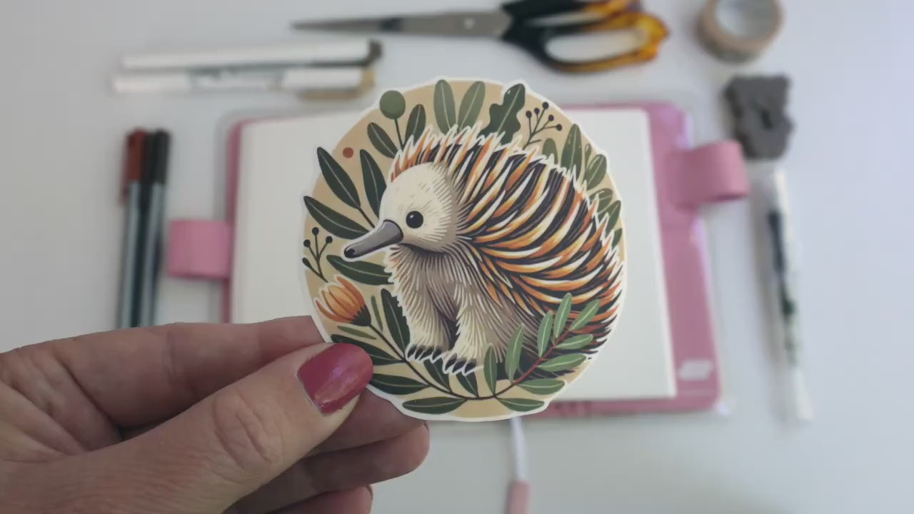 Cute Echidna Sticker – Australian Native Fauna, Cozy Wildlife Décor for Laptops & Journals