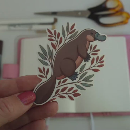 Cute Platypus Sticker – Quirky Australian Wildlife Décor, Cozy Native Fauna Sticker for Laptops & Water Bottles and skateboards
