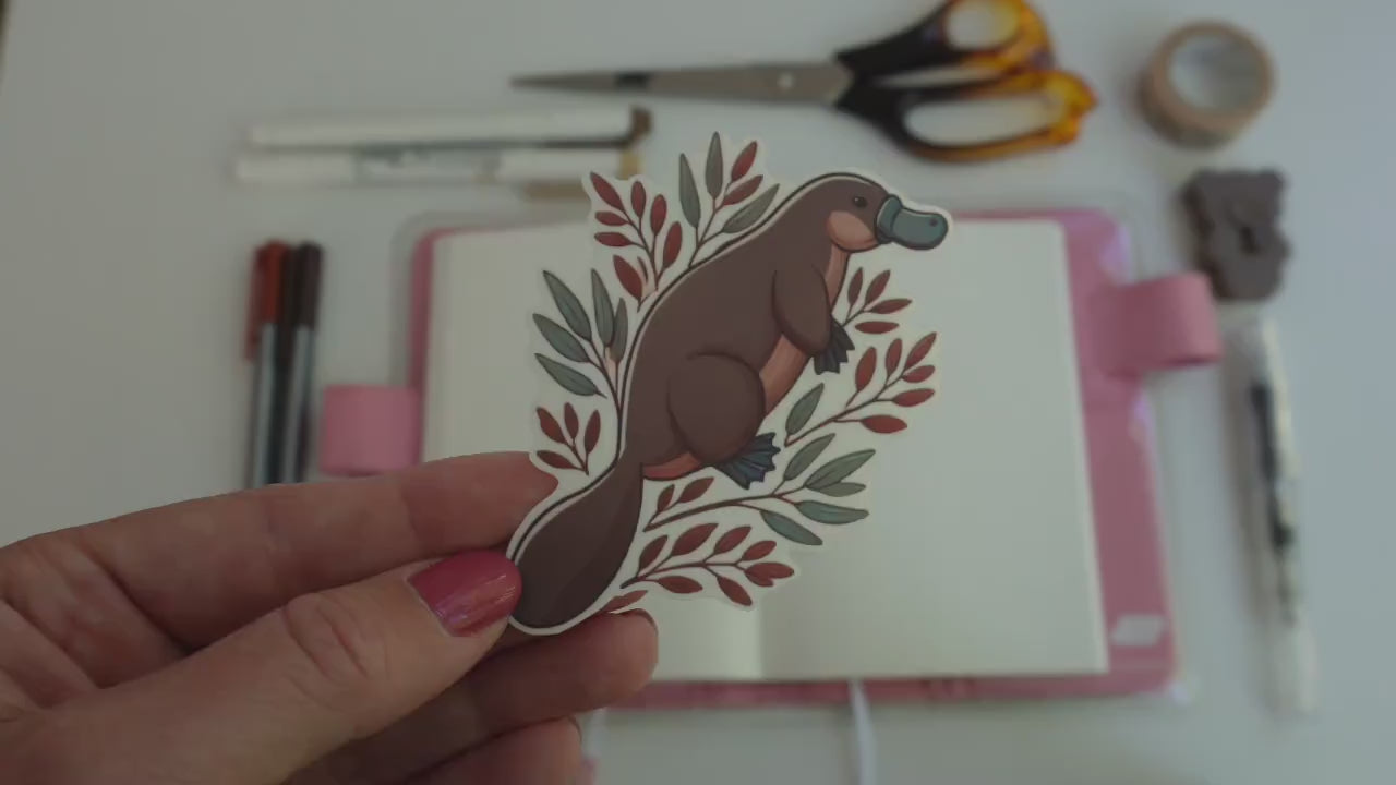 Cute Platypus Sticker – Quirky Australian Wildlife Décor, Cozy Native Fauna Sticker for Laptops & Water Bottles and skateboards