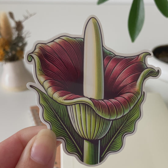 A hand holding a vibrant vinyl sticker of the Amorphophallus titanum (corpse flower) featuring a tall, smooth yellow spadix and maroon spathe with green accents, placed against a background with plants and stationery items.