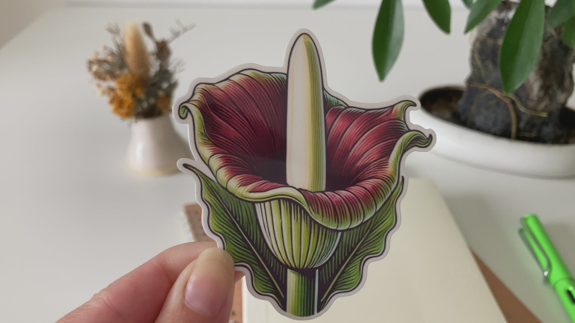 A hand holding a vibrant vinyl sticker of the Amorphophallus titanum (corpse flower) featuring a tall, smooth yellow spadix and maroon spathe with green accents, placed against a background with plants and stationery items.