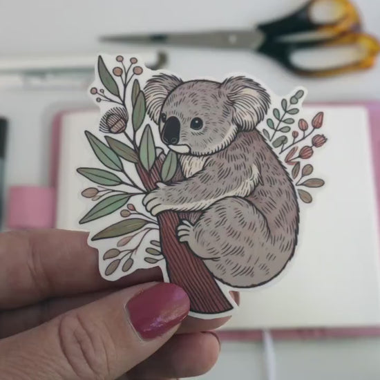 Koala Bear Sticker – Cute Australian Wildlife Décor, Cozy Eucalyptus Tree Sticker for Laptops & Water Bottles