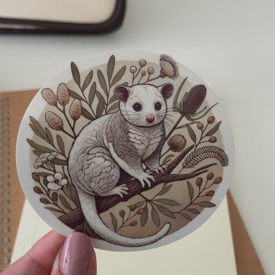 A hand with pink nails holds a round Australian possum sticker featuring a fluffy possum perched on a branch, surrounded by native botanical elements in warm earthy tones. The background includes a cozy desk setup with stationery, a notebook, a pink pen, a rainbow-rimmed glass, and dried flowers in a vase. The waterproof and scratch-resistant vinyl sticker is perfect for decorating water bottles, laptops, and journals with a touch of Australian wildlife charm.