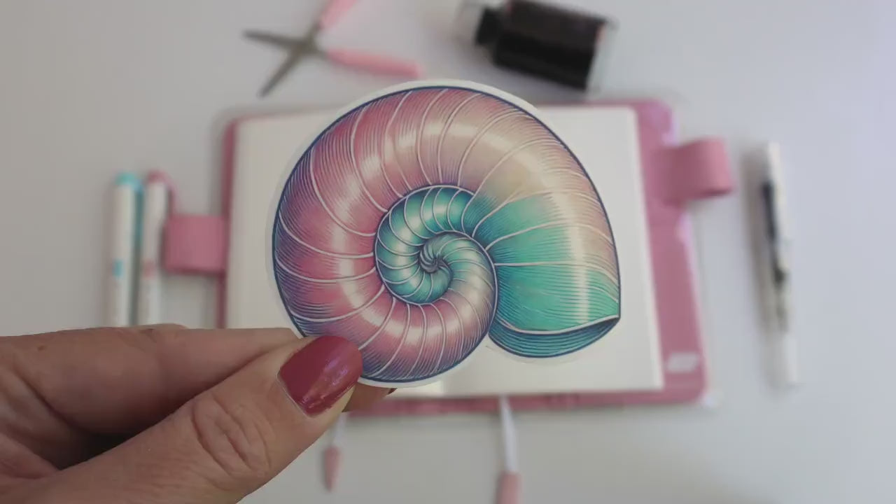 Pastel Nautilus Shell Sticker – Ocean-Inspired Spiral Design, Cute Coastal Décor for Laptops & Journals